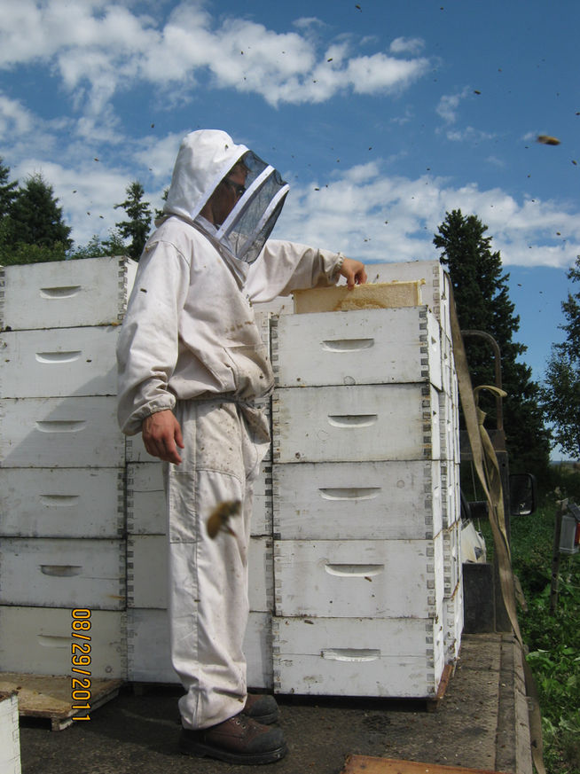 2011 — Early Days photo 5